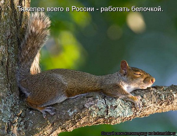 ��� ���������� � ���� - 10 ���� 2014 � 08:25
