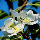 ���� �����, �����, 64 ���� - ��������� 4 ��� 2014 � ������ ������ � �����!�