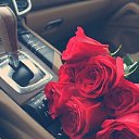 ���� �����, ������, 59 ��� - ��������� 14 ������ 2014 � ������ ������ ��������