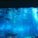 ���� �������, ����������� - ��������� 1 ���� 2014 � ������ ���� ����������