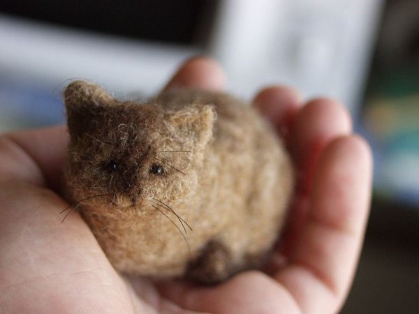   :3