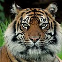 ��, ���������, ������ �� ����... �� ������� ���� ����������