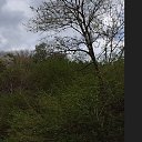 ���� ���������, ������, 52 ���� - ��������� 22 ��� 2014 � ������ ������� �������� ������ 2014�