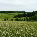 ���� �����, ������ �������� - ��������� 23 ����� 2014 � ������ �������� ������� ��������