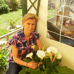 ���� ����, ������, 52 ���� - ��������� 7 ���� 2014