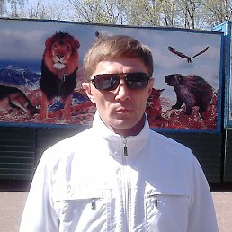 ������, �������, 52 ����