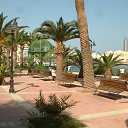 ���� Alfia, �����, 49 ��� - ��������� 22 ���� 2014