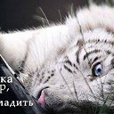 ���� ��������, ������ - ��������� 5 ������ 2014 � ������ ������ ��������