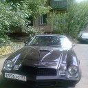 ���� ����, ������, 49 ��� - ��������� 1 ������� 2014 � ������ ���� ����������