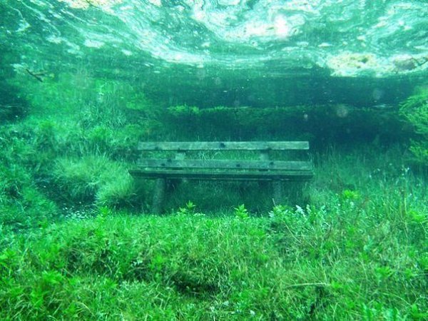 Подписывайтесь на нас: http://fotostrana.ru/public/233467 ;-) Необычное зеленое озеро В Австрии есть ... - 8