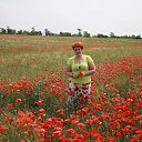 ���� ����, ����������� - ��������� 30 ��� 2014 � ������ ������ ��������