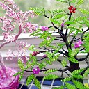 ���� �������, ���������, 37 ��� - ��������� 12 ���� 2014 � ������ ��������������� ����� - ���� 2014�