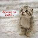 ���� Alex, ������ - ��������� 23 ���� 2014 � ������ ������ ��������