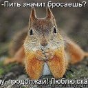 ���� ���, ��������, 44 ���� - ��������� 17 ����� 2014