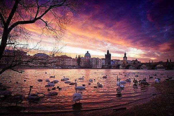  , . Prague, Czech Republic.