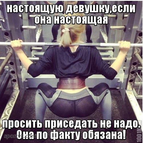  -   - 11  2014  19:39