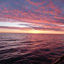 ���� ��������, �����, 65 ��� - ��������� 27 ���� 2014 � ������ ���� ����������