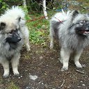 ���� ����, ������ �����, 52 ���� - ��������� 18 ���� 2014