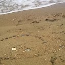 ���� ������, ������������� - ��������� 18 ��� 2014 � ������ �����.����.���