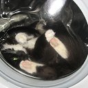 ��� ������� ����� ! �� ������� ��������