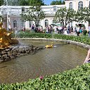 ���� ������, �����-���������, 65 ��� - ��������� 30 ���� 2014 � ������ ���� ����������