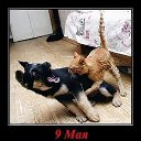 ���� Moonlight, ��������� - ��������� 27 ����� 2014 � ������ ������ ��������