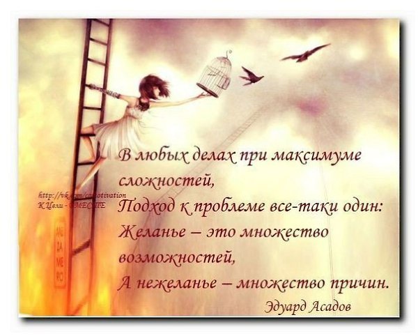 ����� - 16 ����� 2014 � 21:53