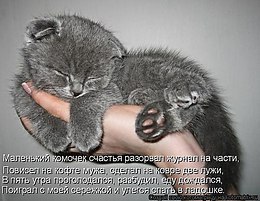 K K - 18  2014  12:45