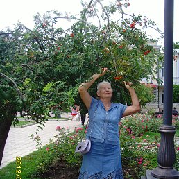 ��� ������������ ������� 2012 ���