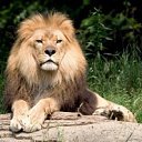 ���� Svetlana, ������ - ��������� 8 ������� 2014 � ������ ���� ����������