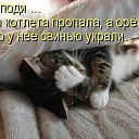 ���� ���������, �����, 53 ���� - ��������� 5 ���� 2014 � ������ ������ ��������