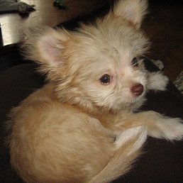 ��� ������.