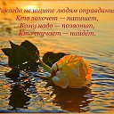 ���� ����, ����������, 53 ���� - ��������� 19 ������ 2014 � ������ ������ ��������
