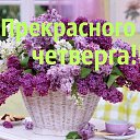 ���� �������, �����-���������, 68 ��� - ��������� 8 ��� 2014 � ������ ������ ��������