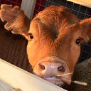 ���� ����������, ������� ��������, 63 ���� - ��������� 7 ���� 2014 � ������ �� ���� ���������