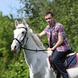 �������, ���, 37 ���