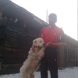 ���� ���������, ����-���, 54 ���� - ��������� 5 ��� 2014