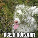 ���� �������, ������ - ��������� 6 ���� 2014 � ������ ������ ��������
