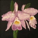 ���� Oleg, ������, 87 ��� - ��������� 15 ���� 2014 � ������ �Paints�