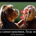 ���� Lisha, ������������, 38 ��� - ��������� 22 ���� 2014 � ������ ������ ��������