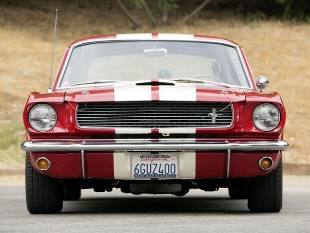 Shelby GT350 '1966 - 4