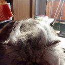 ���� �������, ��������� - ��������� 13 ��� 2014 � ������ �:)�