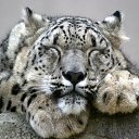 ���� Svetlana, ������ - ��������� 8 ������� 2014 � ������ ���� ����������