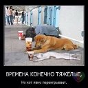 ���� ���� ,,�� �������,,, ������ - ��������� 23 ���� 2014 � ������ ������ ��������