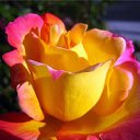  Tatjana, , 61  -  24  2014    