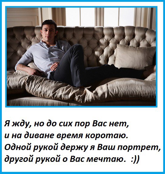 .::Hippy_cat::. - 15  2014  11:19 - 2