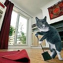 ���� �**, �������, 60 ��� - ��������� 27 ���� 2014 � ������ ���������