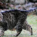 ���� Vinder, ������, 50 ��� - ��������� 12 ���� 2014 � ������ ������ ��������