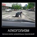 ���� ������, ���������, 48 ��� - ��������� 20 ������� 2014 � ������ ������ ��������