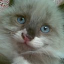 ���� ��������, ��������, 66 ��� - ��������� 30 ������ 2014 � ������ ���� ����������